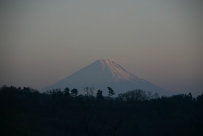 富士（正月）
